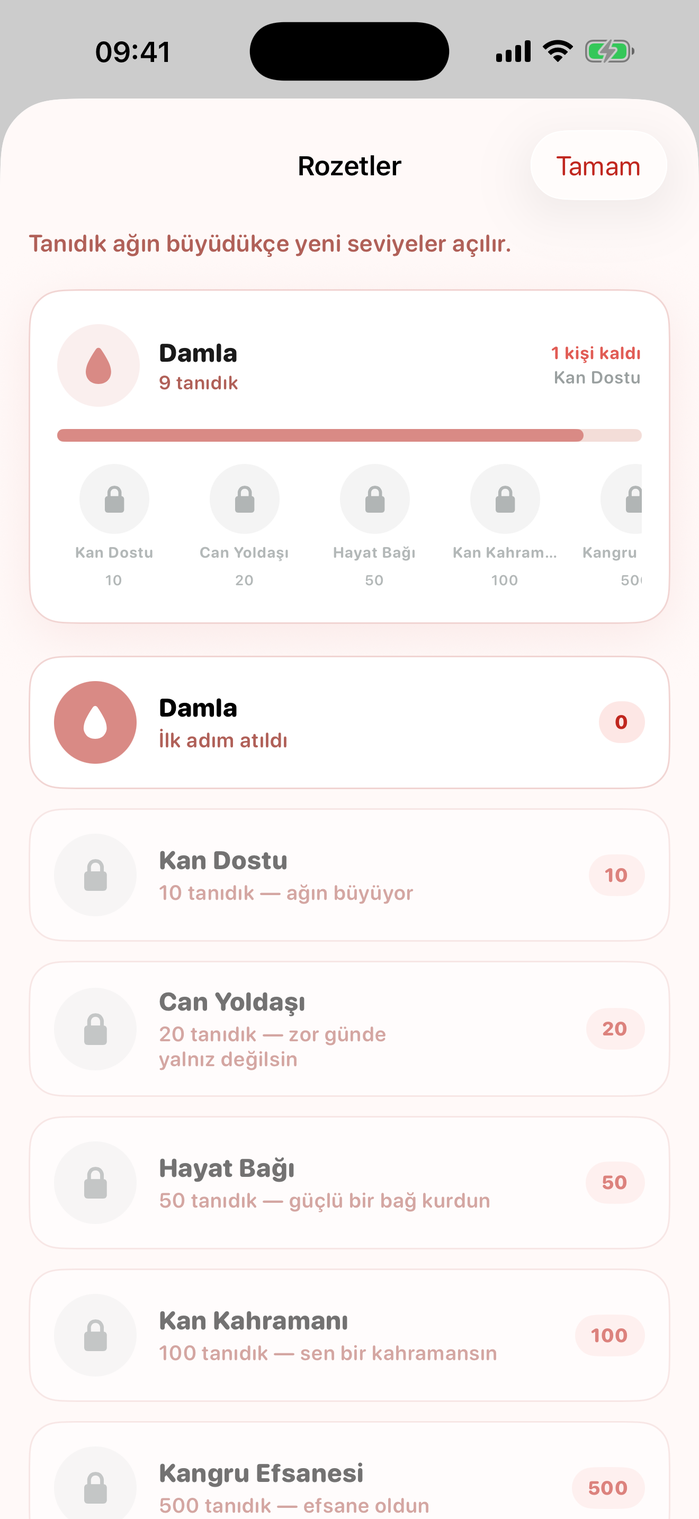 Rozetler ekranı — tanıdık ağına göre seviyeler